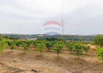 Giardino - Rustico sp 34 bongiovanni cda vaccarizzo, Caltagirone - foto 13