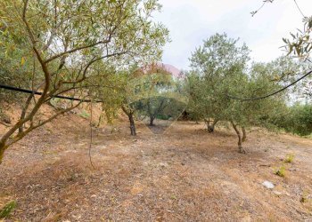 Giardino - Rustico sp 34 bongiovanni cda vaccarizzo, Caltagirone - foto 17