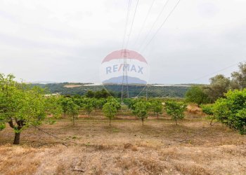 Giardino - Rustico sp 34 bongiovanni cda vaccarizzo, Caltagirone - foto 19