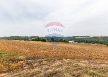 Giardino - Rustico sp 34 bongiovanni cda vaccarizzo, Caltagirone - foto 22