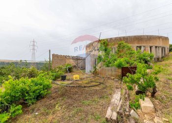 Giardino - Rustico sp 34 bongiovanni cda vaccarizzo, Caltagirone - foto 23