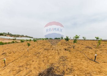 Vista delle montagne - Rustico sp 34 bongiovanni cda vaccarizzo, Caltagirone - foto 26