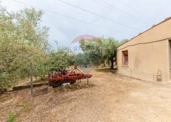 Giardino - Rustico sp 34 bongiovanni cda vaccarizzo, Caltagirone - foto 28