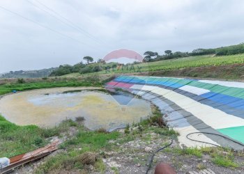 Vista dell\'acqua - Villa Contrada Fontana Pietra
 
snc, Caltagirone - foto 7