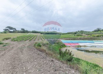 Piscina - Villa Contrada Fontana Pietra
 
snc, Caltagirone - foto 11