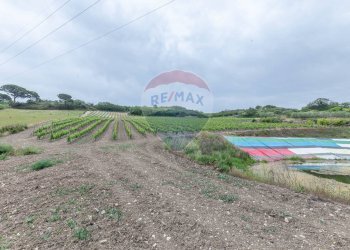 Giardino - Villa Contrada Fontana Pietra
 
snc, Caltagirone - foto 13