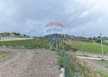 Vista delle montagne - Villa Contrada Fontana Pietra
 
snc, Caltagirone - foto 14