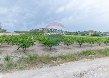 Giardino - Villa Contrada Fontana Pietra
 
snc, Caltagirone - foto 15