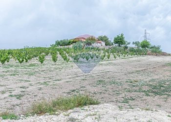 Giardino - Villa Contrada Fontana Pietra
 
snc, Caltagirone - foto 17