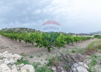 Vista delle montagne - Villa Contrada Fontana Pietra
 
snc, Caltagirone - foto 19