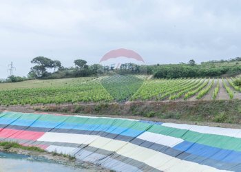 Piscina - Villa Contrada Fontana Pietra
 
snc, Caltagirone - foto 22