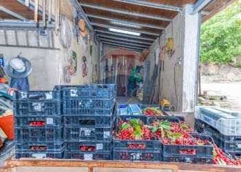 Non correlato - Villa Contrada Fontana Pietra
 
snc, Caltagirone - foto 24
