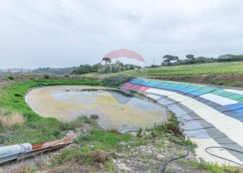 Vista dell\'acqua - Villa Contrada Fontana Pietra
 
snc, Caltagirone - foto 41