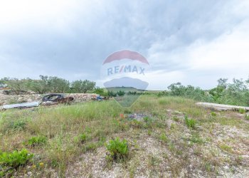 Giardino - Villa Contrada Fontana Pietra
 
snc, Caltagirone - foto 43