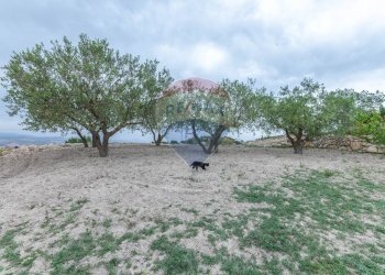 Vista dell\'acqua - Villa Contrada Fontana Pietra
 
snc, Caltagirone - foto 45