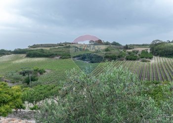 Vista delle montagne - Villa Contrada Fontana Pietra
 
snc, Caltagirone - foto 49