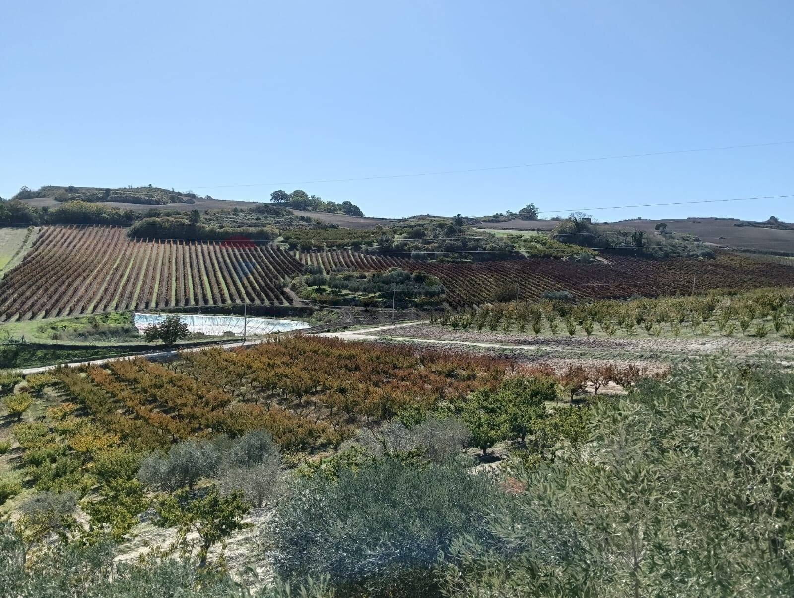 Vista delle montagne - Agricultural land CDA fontana pietra, Caltagirone - photo 2