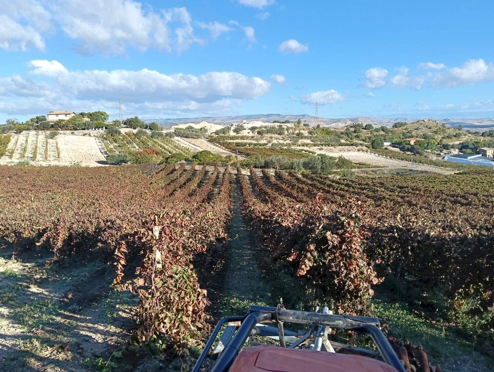 Edificio all\'aperto - Agricultural land CDA fontana pietra, Caltagirone - photo 3