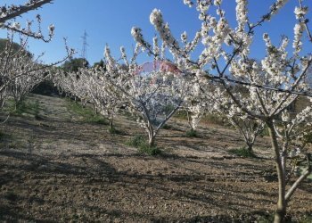 Vista delle montagne - Terreno agricolo CDA fontana pietra, Caltagirone - foto 14