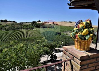 Giardino - Terreno agricolo CDA fontana pietra, Caltagirone - foto 24