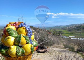 Dettagli - Terreno agricolo CDA fontana pietra, Caltagirone - foto 32