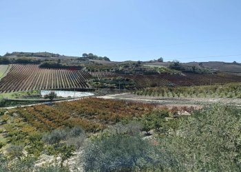 Vista delle montagne - Terreno agricolo CDA fontana pietra, Caltagirone - foto 2