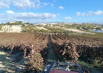 Edificio all\'aperto - Terreno agricolo CDA fontana pietra, Caltagirone - foto 3
