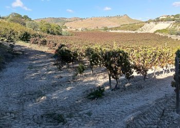 Vista delle montagne - Terreno agricolo CDA fontana pietra, Caltagirone - foto 6