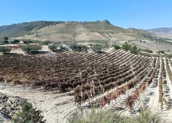 Vista delle montagne - Terreno agricolo CDA fontana pietra, Caltagirone - foto 40
