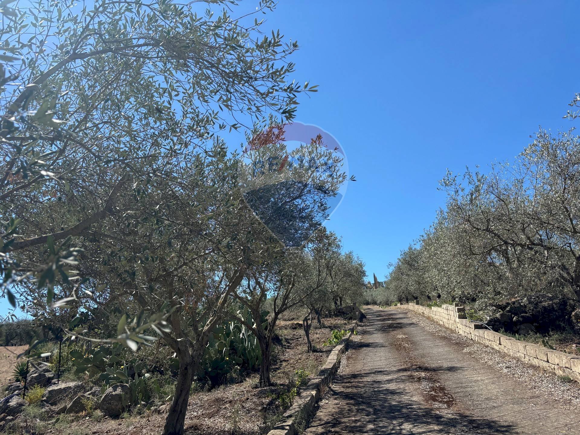 Non correlato - Villa Contrada Xirumi
 
snc, Lentini - foto 3