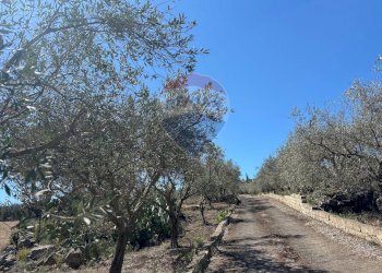 Non correlato - Villa Contrada Xirumi
 
snc, Lentini - foto 3