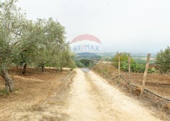 Giardino - Villa Contrada Xirumi
 
snc, Lentini - foto 132