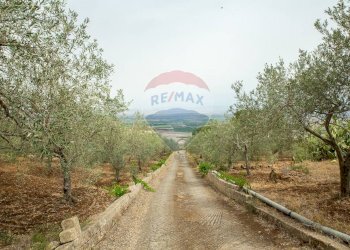 Vista delle montagne - Villa Contrada Xirumi
 
snc, Lentini - foto 133