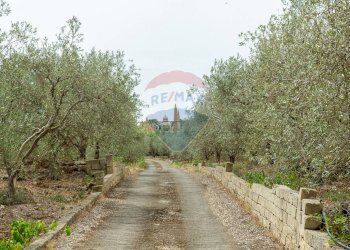 Giardino - Villa Contrada Xirumi
 
snc, Lentini - foto 134