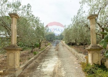 Giardino - Villa Contrada Xirumi
 
snc, Lentini - foto 135