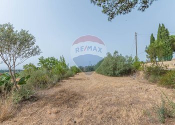 Giardino - Terreno edificabile via giuseppe garibaldi
105, Caltagirone - foto 10