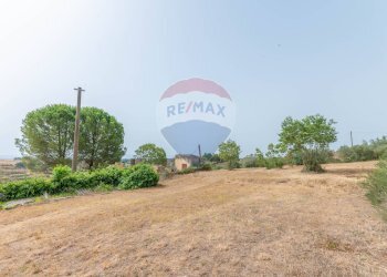Giardino - Terreno edificabile via giuseppe garibaldi
105, Caltagirone - foto 12