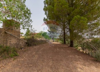 Giardino - Terreno edificabile via giuseppe garibaldi
105, Caltagirone - foto 23