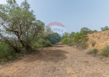 Giardino - Terreno edificabile via giuseppe garibaldi
105, Caltagirone - foto 32