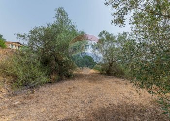 Giardino - Terreno edificabile via giuseppe garibaldi
105, Caltagirone - foto 33