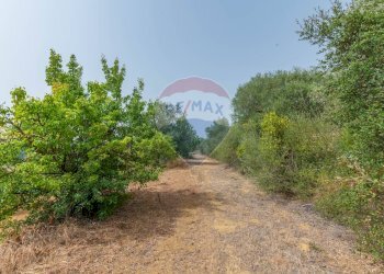 Giardino - Terreno edificabile via giuseppe garibaldi
105, Caltagirone - foto 34