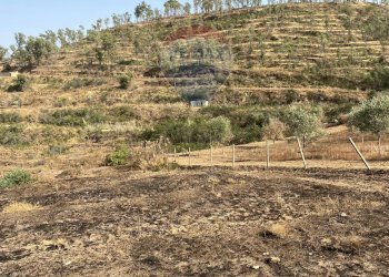 Vista delle montagne - Terreno agricolo Contrada Ficazza
snc, Mineo - foto 2