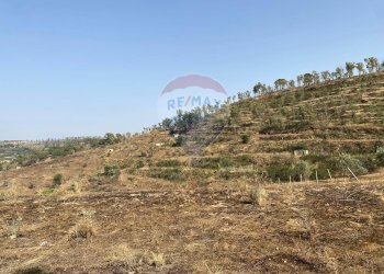 Vista delle montagne - Terreno agricolo Contrada Ficazza
snc, Mineo - foto 3