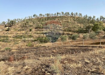 Vista delle montagne - Terreno agricolo Contrada Ficazza
snc, Mineo - foto 11