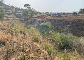 Vista delle montagne - Terreno agricolo Contrada Ficazza
snc, Mineo - foto 20