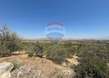 Vista delle montagne - Agricultural land cda feccia di vino
 
sn, Ramacca - photo 2