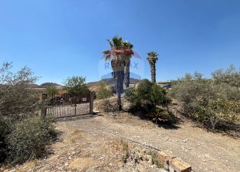 Giardino - Agricultural land cda feccia di vino
 
sn, Ramacca - photo 10