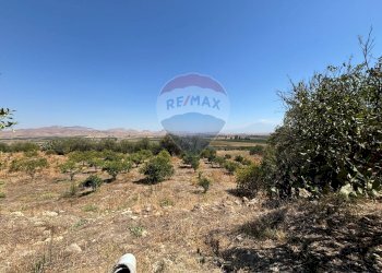 Vista delle montagne - Agricultural land cda feccia di vino
 
sn, Ramacca - photo 12