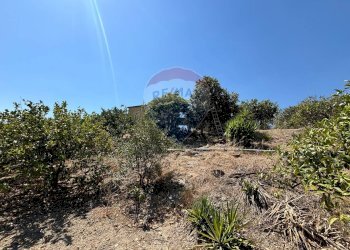 Giardino - Agricultural land cda feccia di vino
 
sn, Ramacca - photo 13