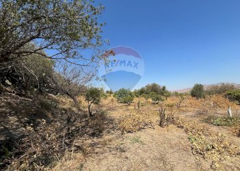 Vista delle montagne - Agricultural land cda feccia di vino
 
sn, Ramacca - photo 14